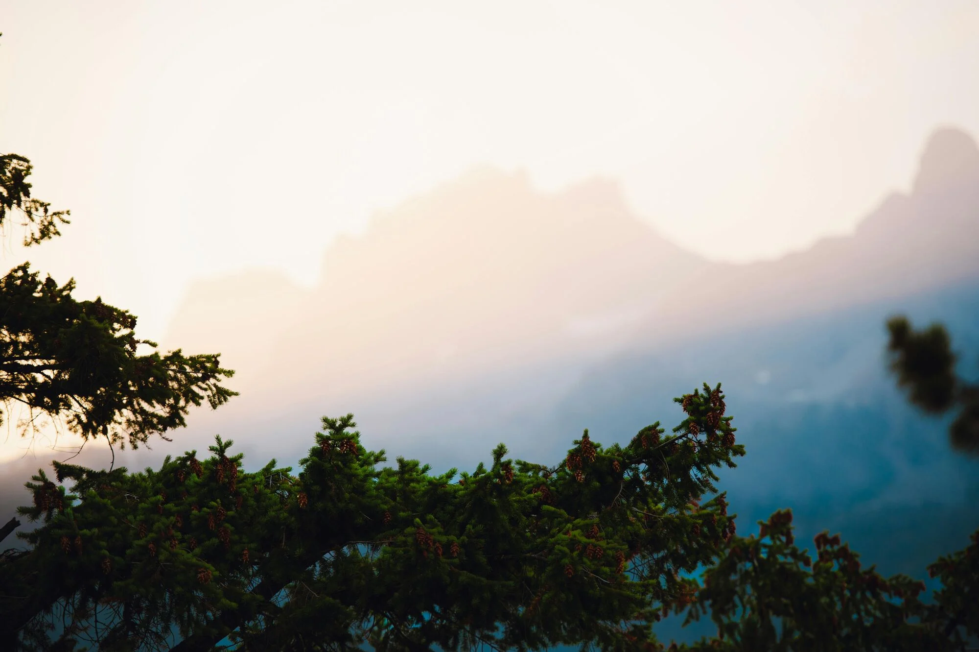 pexels-bylukemiller-14900791